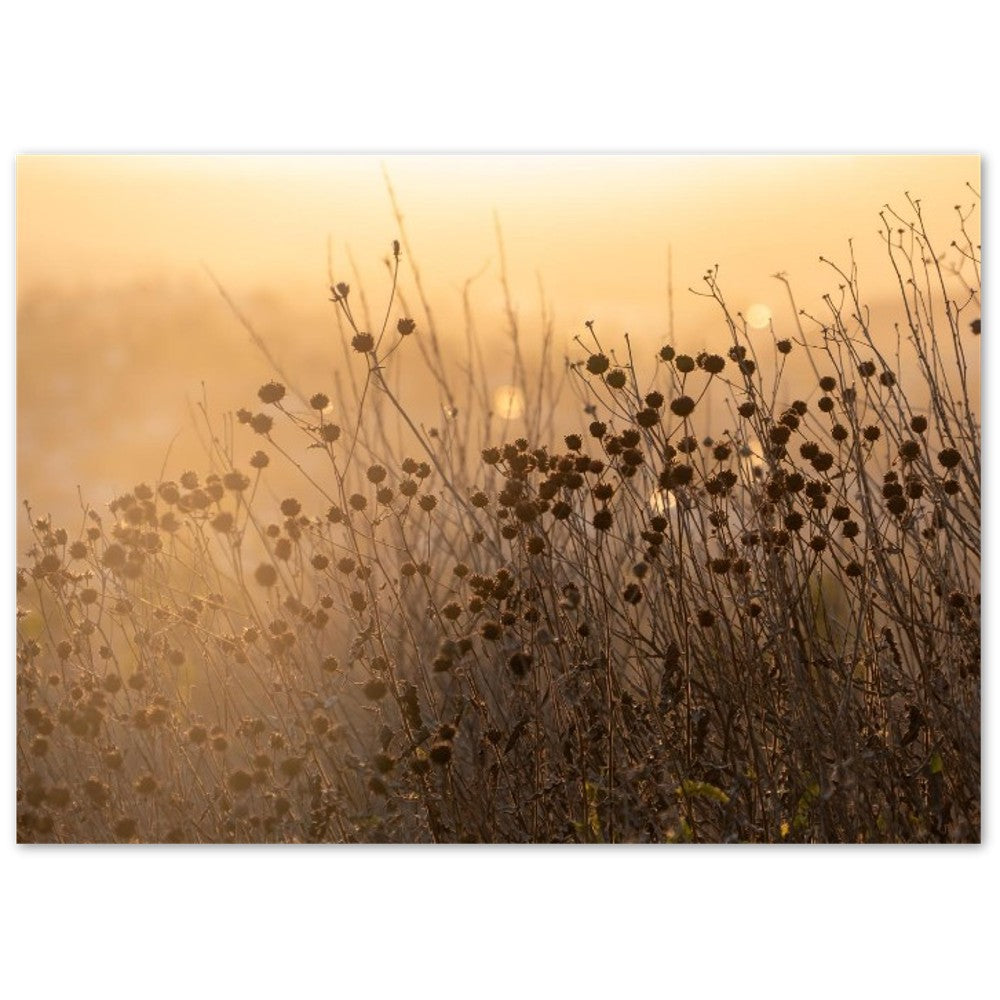 0fd80273-1097-4b81-ac17-f2e6a32d82fa