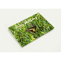 Butterfly nature photography birthday card set