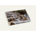 Chipmunk photography thank you card with premium envelope