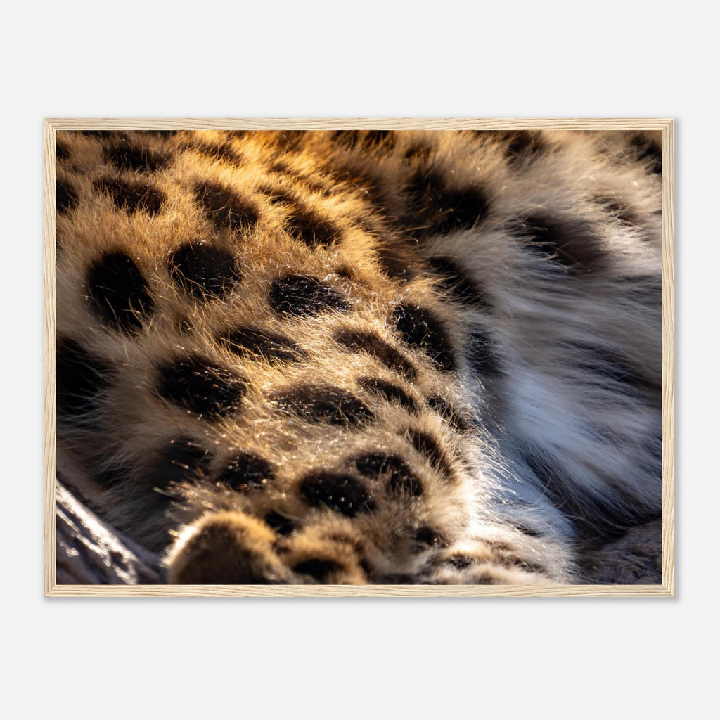 Leopard fur poster shown in black, white and natural wood frame options