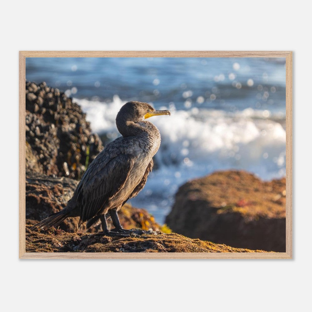 Cormorant photography print in a styled living room