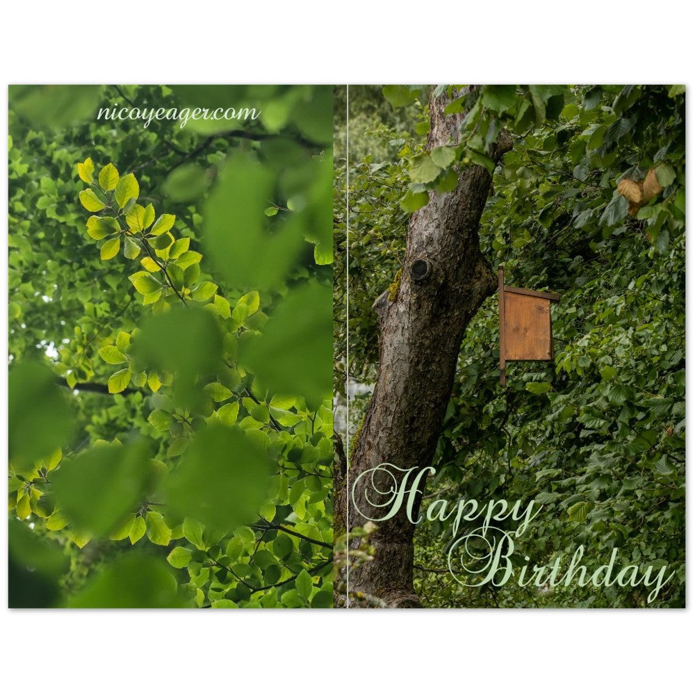 Nature photography birthday card featuring a green forest scene