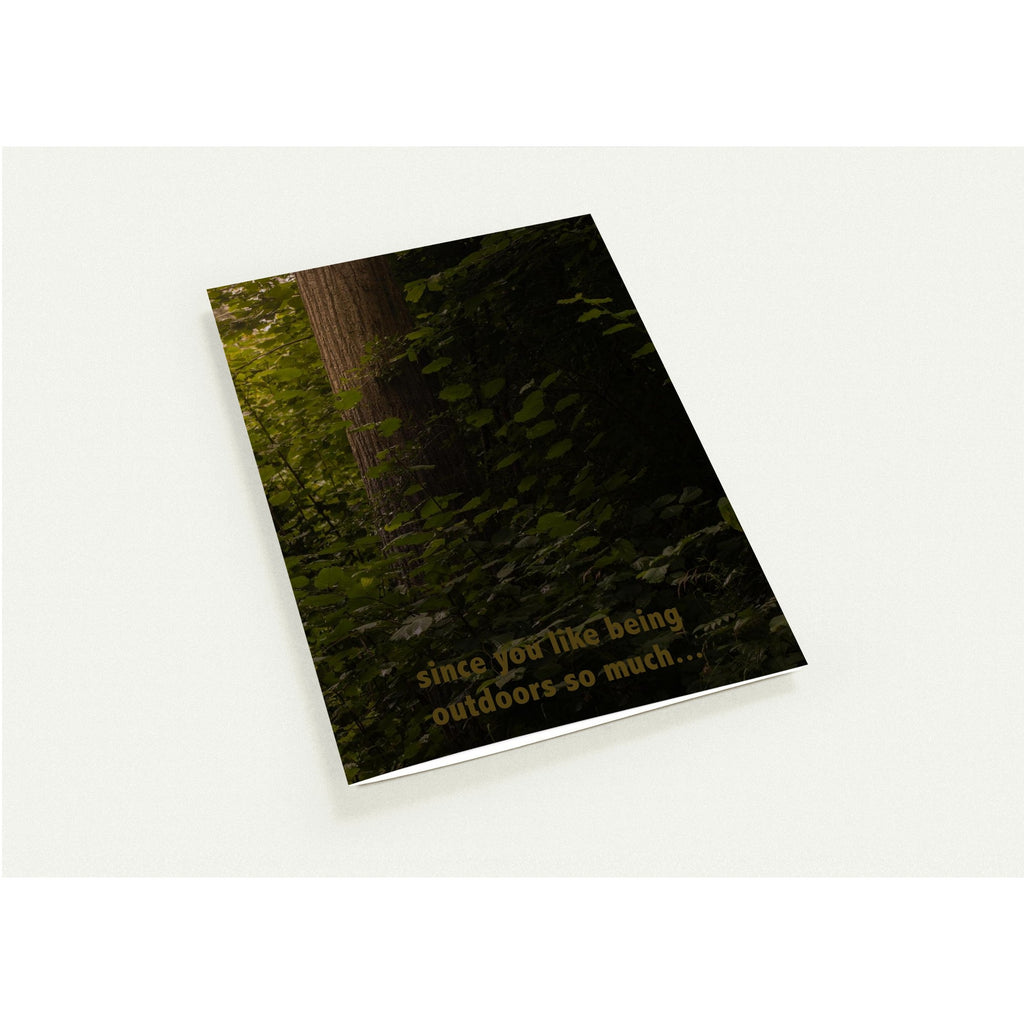 Swiss forest greenery photography postcards, pack of 10