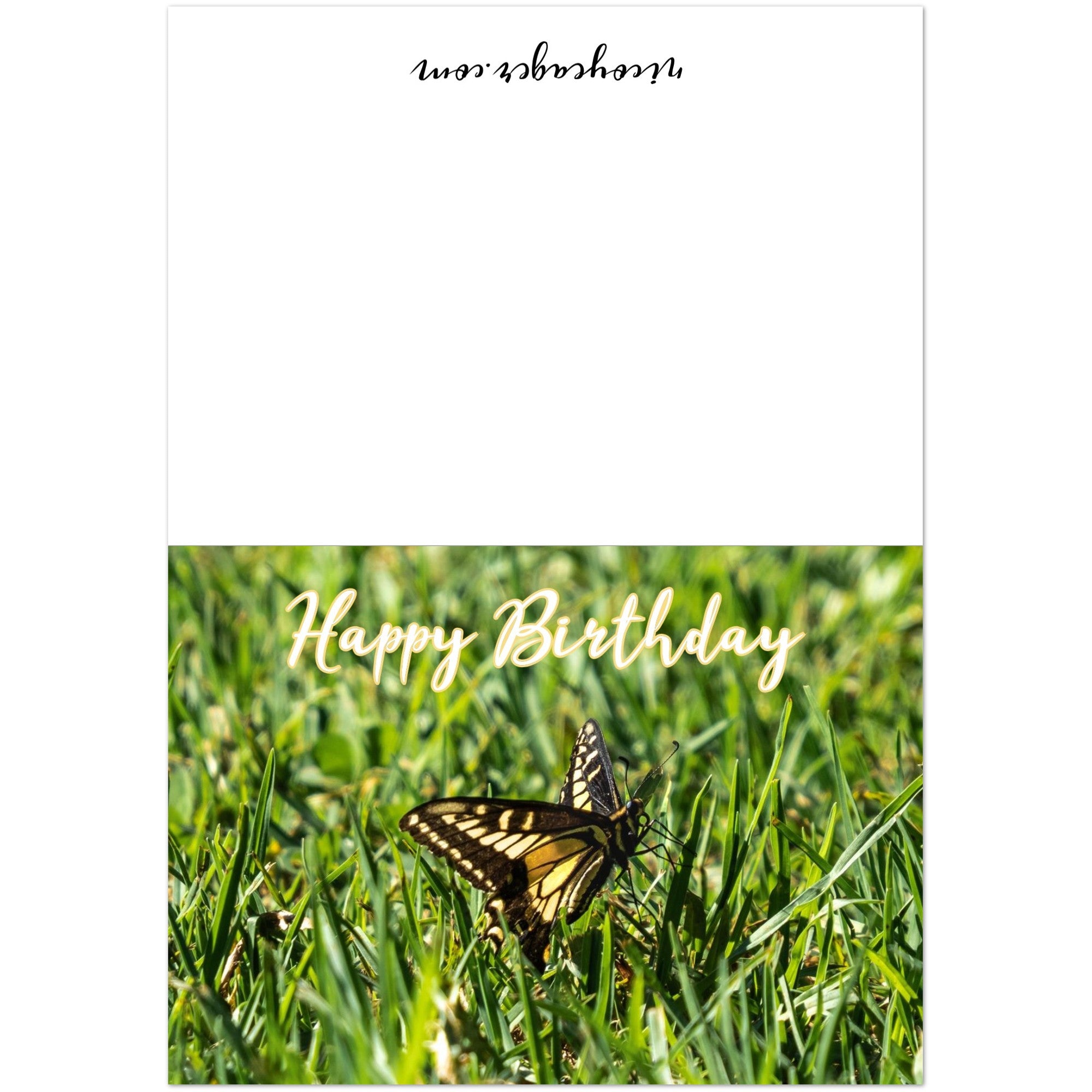Butterfly photography card set of 10 fanned out