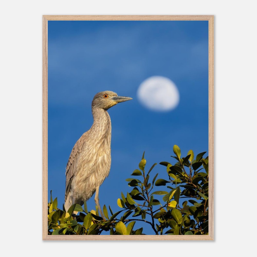 Heron photography wall art in a styled coastal room