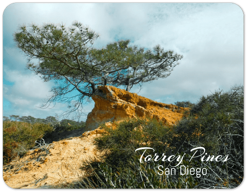 Coastal California postcard set fanned out