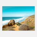 Torrey Pines National Park postcard showing cliffs and ocean