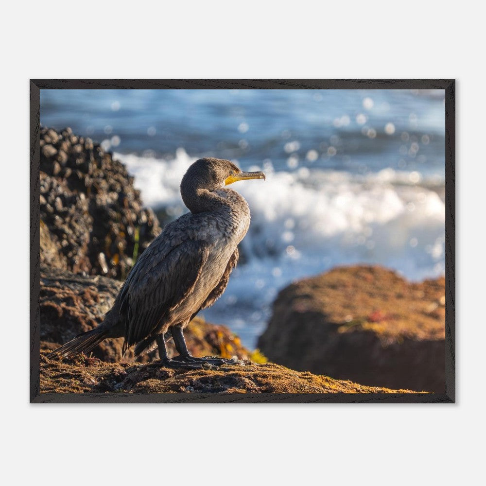 Bird photography print sized against a wall