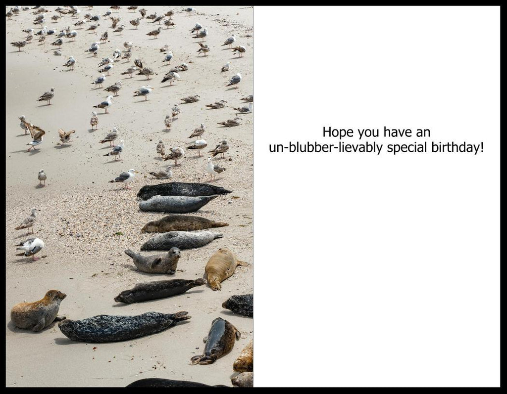 Playful seal greeting card held in hand