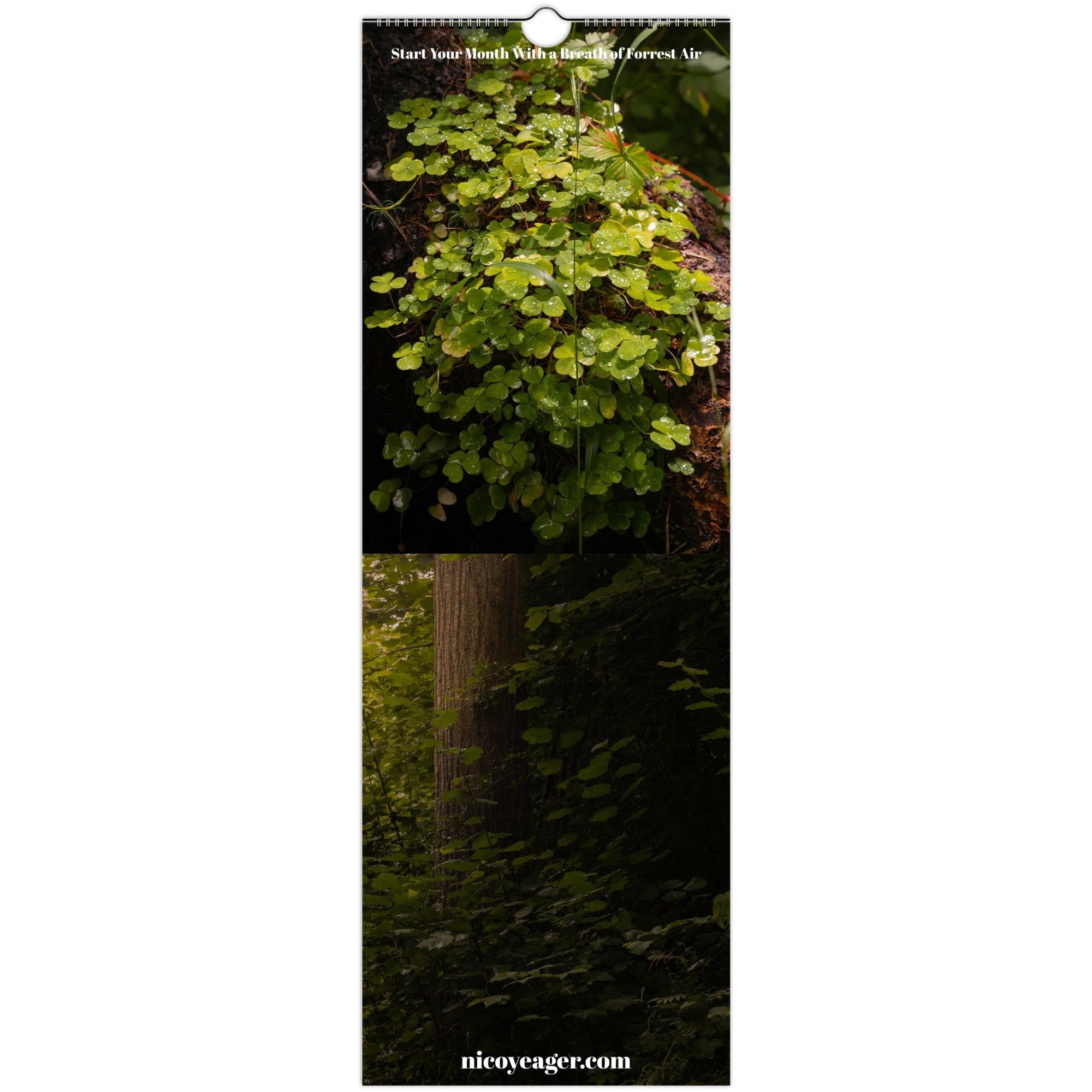 Swiss forest wall calendar hanging open on a wall