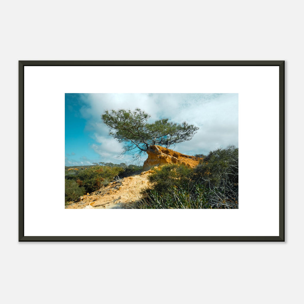 Torrey Pine tree print shown in a styled living room