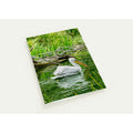 Great white pelican photography note card, coastal bird gift