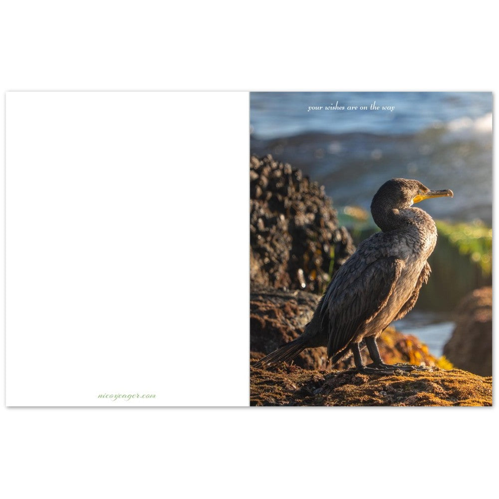 Cormorant photography card, inside view