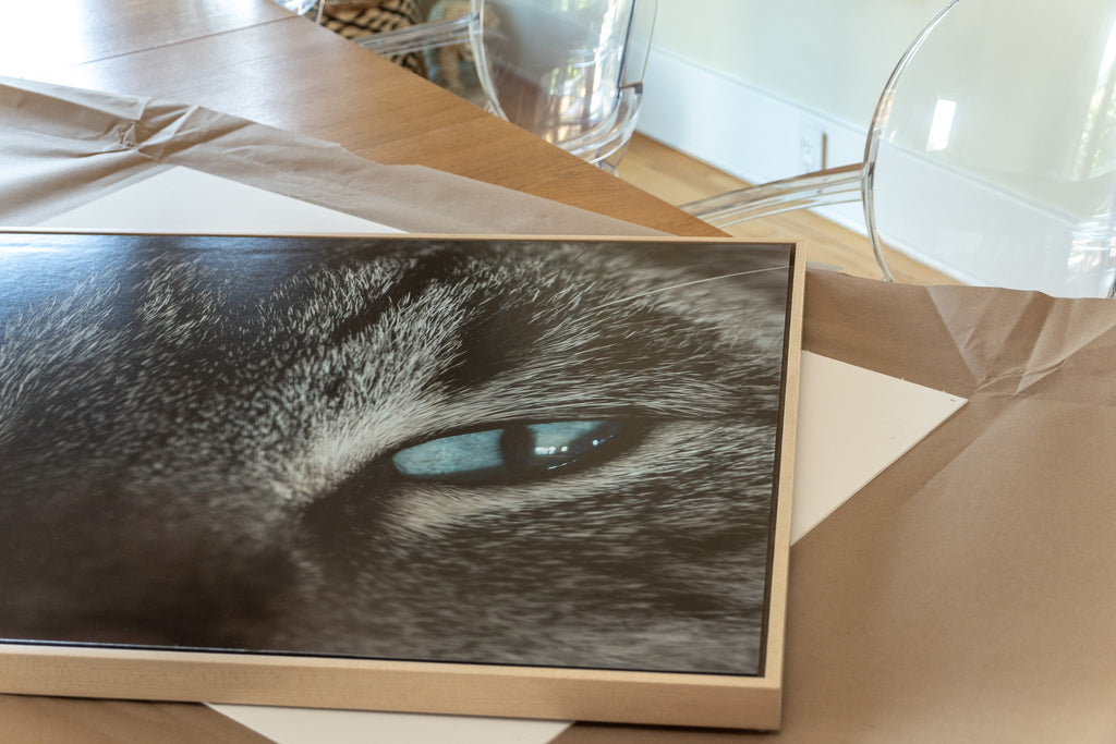 Cat eyes wood framed print shown in a styled room