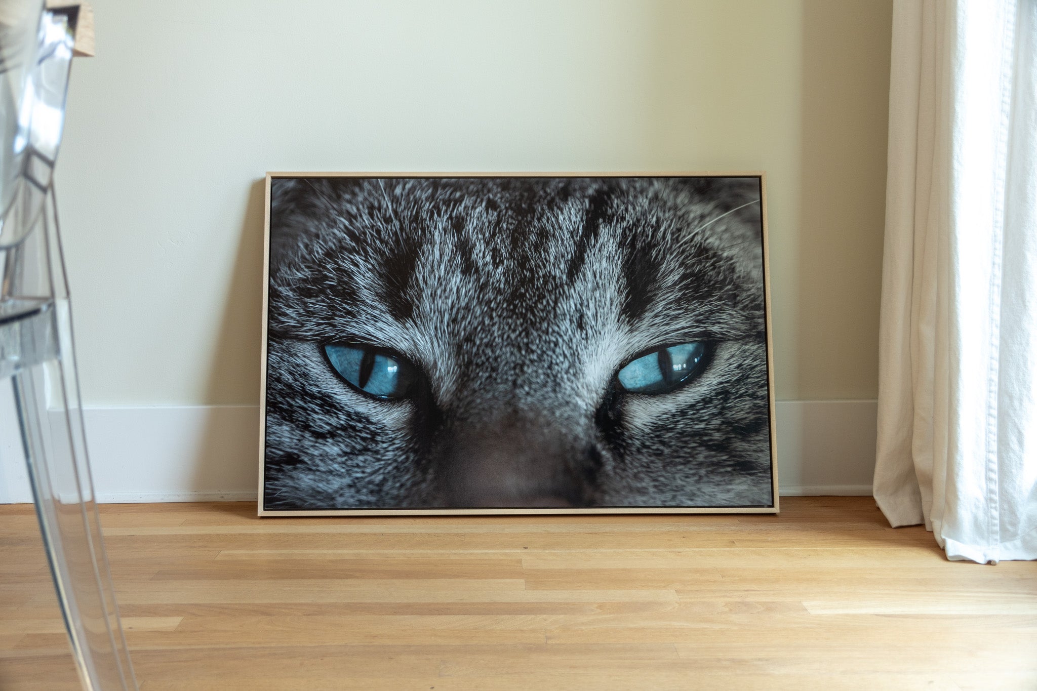 Close-up cat eyes photography print shown at full size