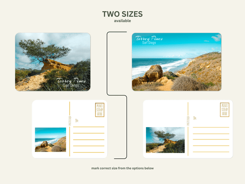 Torrey Pines postcards, coastal California photography set of 10