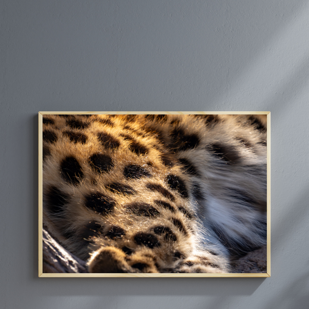 Leopard fur photography poster shown at full size