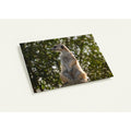 Meerkat wildlife photography thank you card with premium envelope