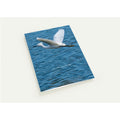 Snowy egret in flight photography birthday card