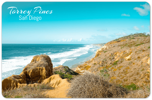 Torrey Pines postcard held in hand, close detail