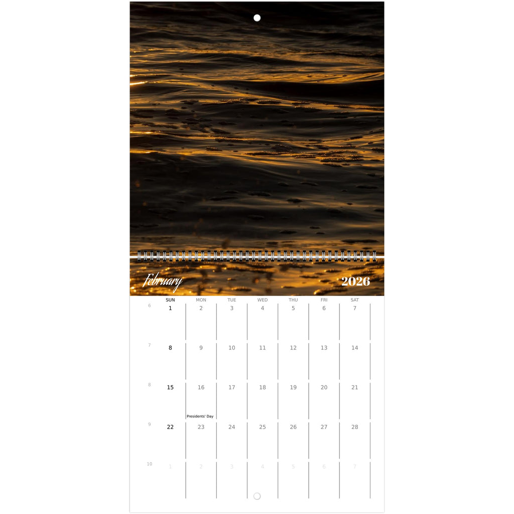 d2386075-deea-41ef-b52a-26213ddf1391