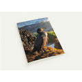 Cormorant at golden hour, coastal bird photography note card