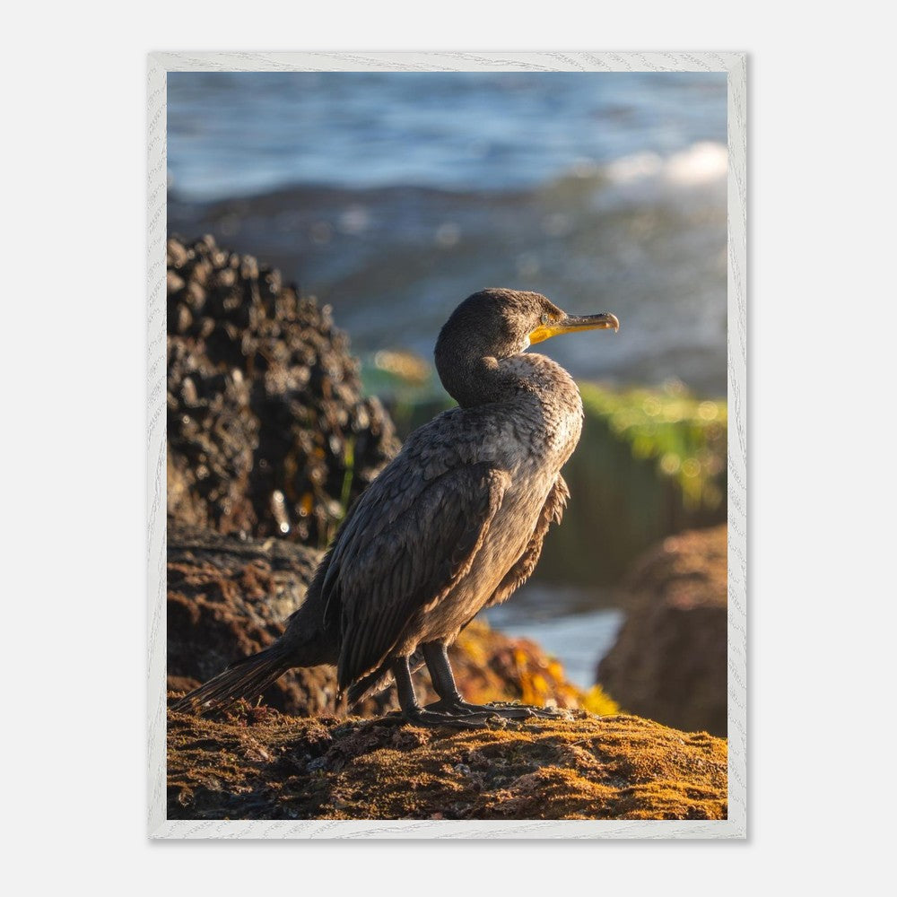 Cormorant wall art shown in wood and black frame options