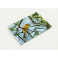 Yellow-faced honeyeater songbird photography note card