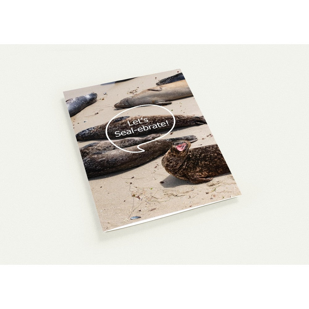 Funny La Jolla Cove seal photography birthday card