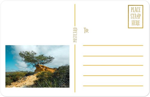 Torrey Pines State Reserve postcard, front view