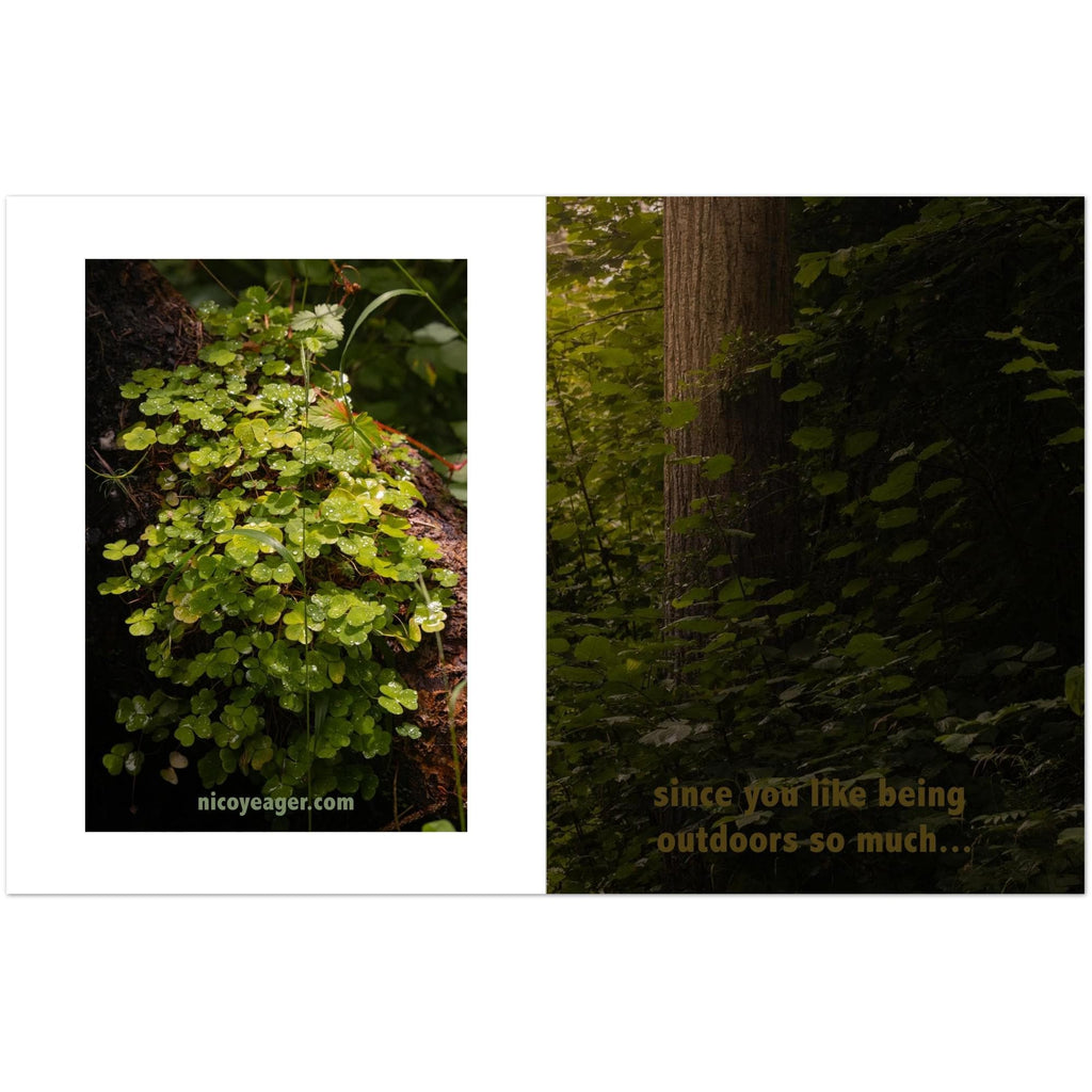 Swiss Forest Photo Postcards: Lush Greenery Prints - Pack of 10