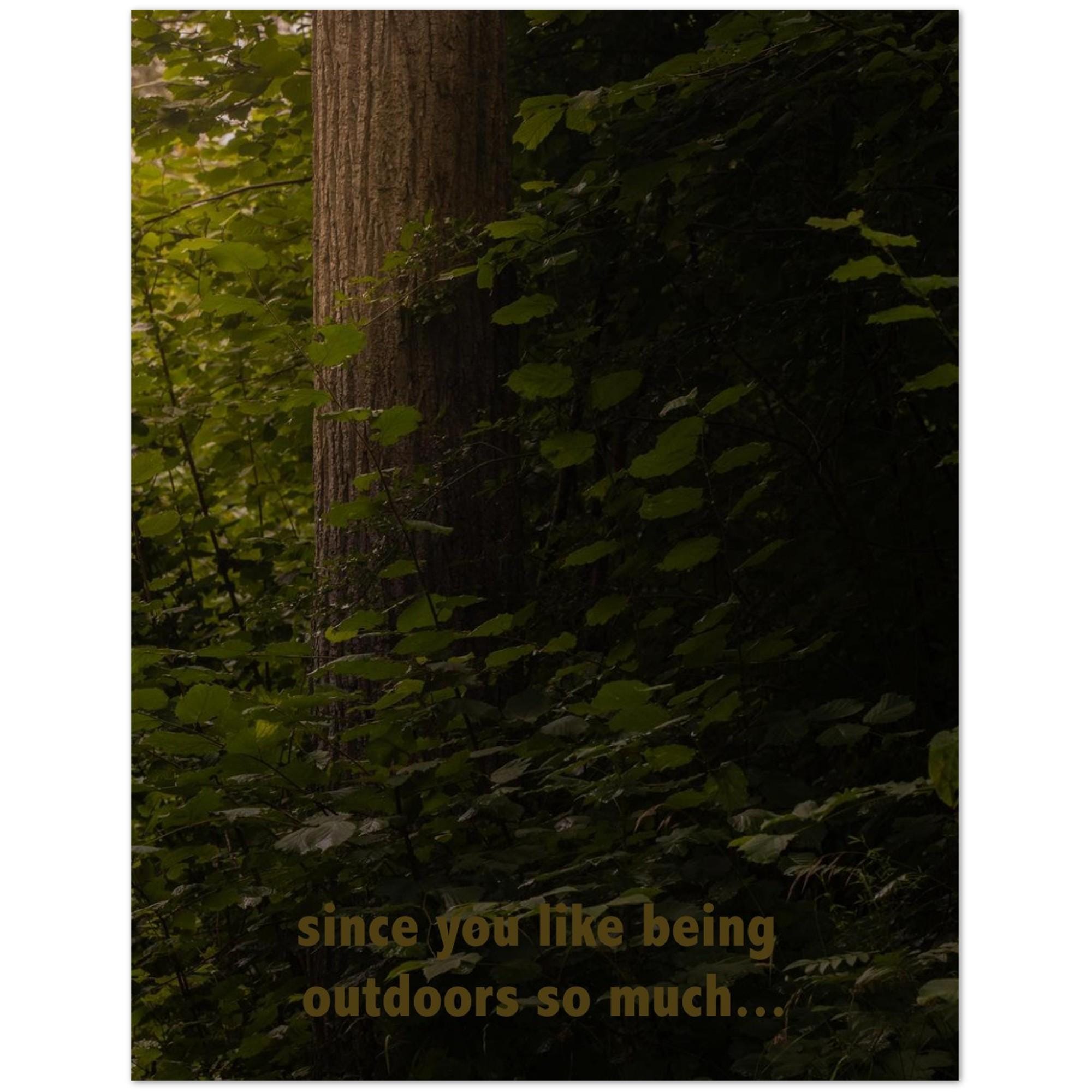 Swiss Forest Photo Postcards: Lush Greenery Prints - Pack of 10