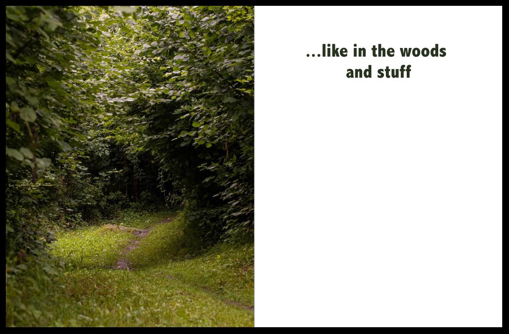Swiss Forest Photo Postcards: Lush Greenery Prints - Pack of 10