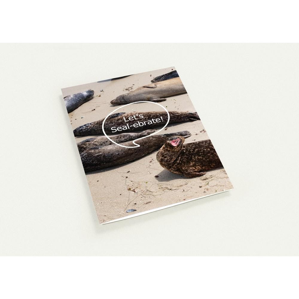 Funny Seal Birthday Card, La Jolla Cove Seal Photo Greeting Card