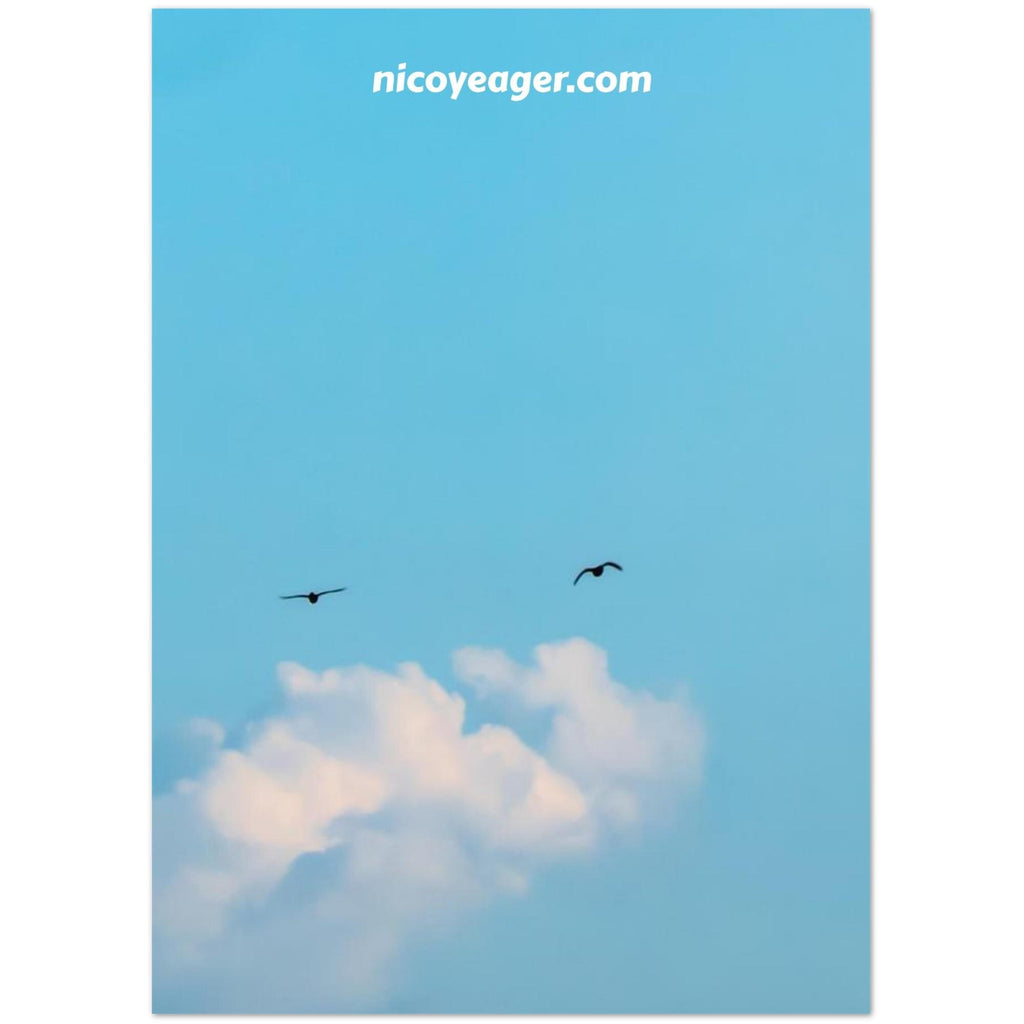 Hot Air Balloon Birthday Card, Golden Hour Photo Greeting Card, Del Mar California
