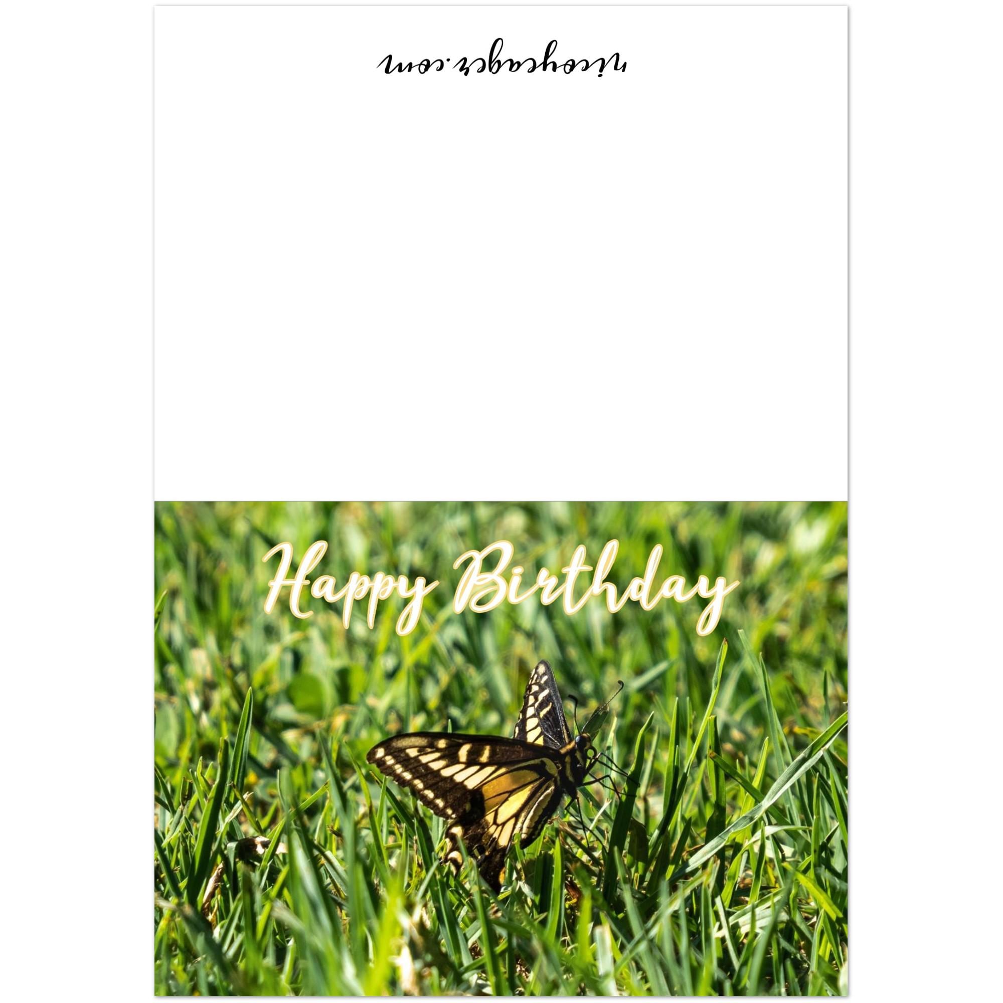Butterfly Birthday Card Pack of 10, Butterfly Photo Greeting Cards with Envelopes