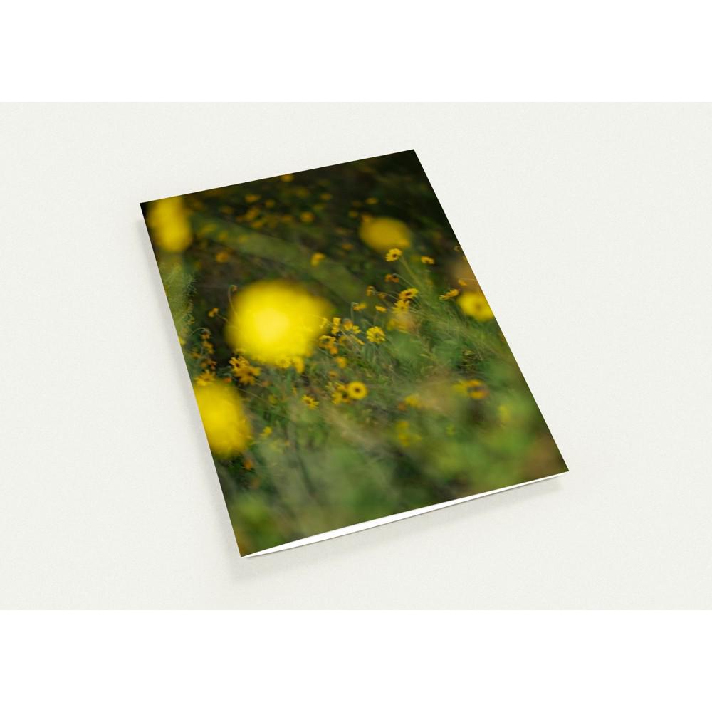 Yellow Wildflower Cards, Flower Photography Greeting Cards