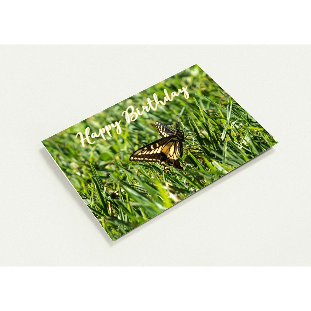 Butterfly Birthday Card Pack of 10, Butterfly Photo Greeting Cards with Envelopes