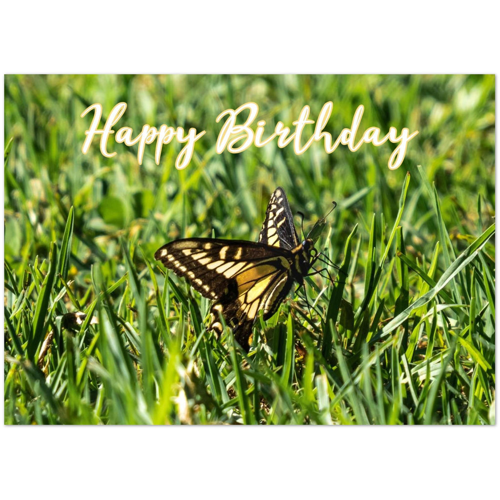 Butterfly Birthday Card Pack of 10, Butterfly Photo Greeting Cards with Envelopes