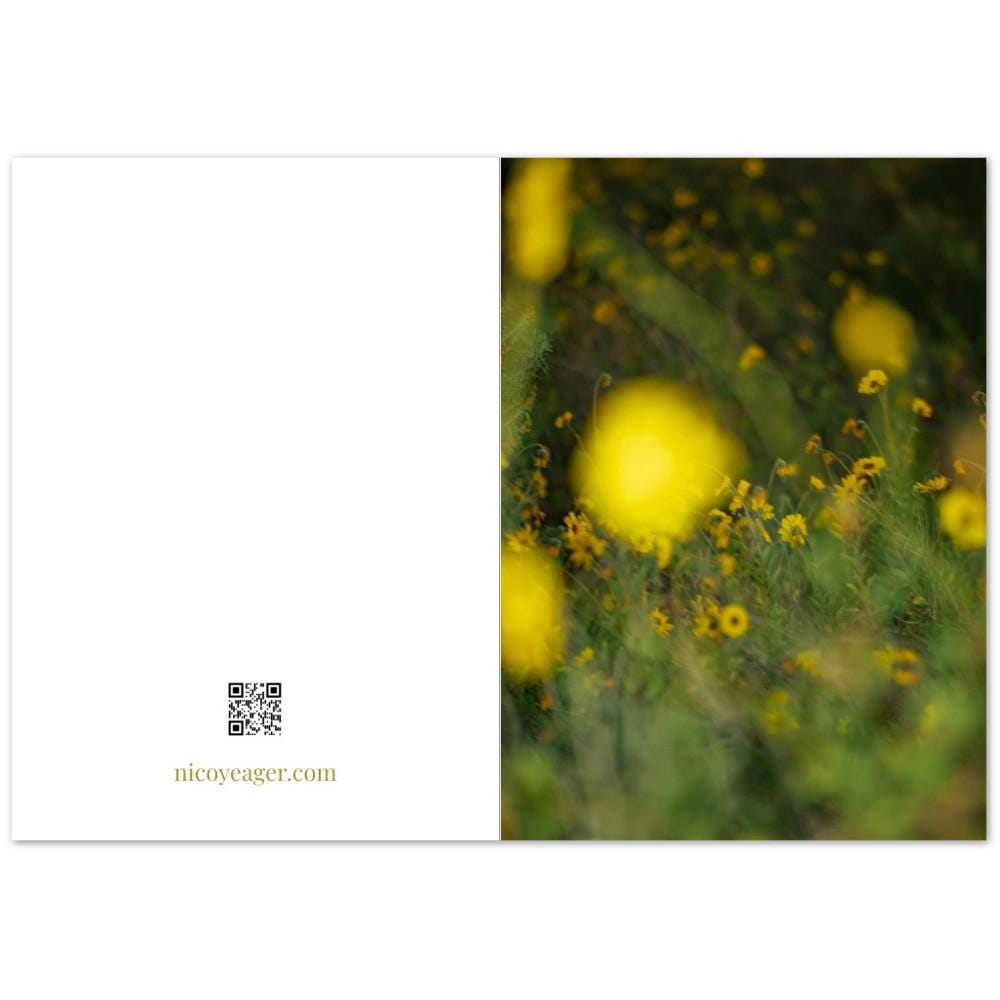 Yellow Wildflower Cards, Flower Photography Greeting Cards