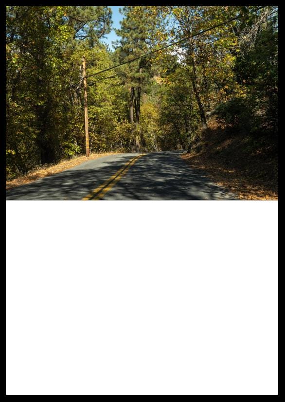 Autumn Mountain Road Photo Cards Pack of 10, Fall Foliage Greeting Cards