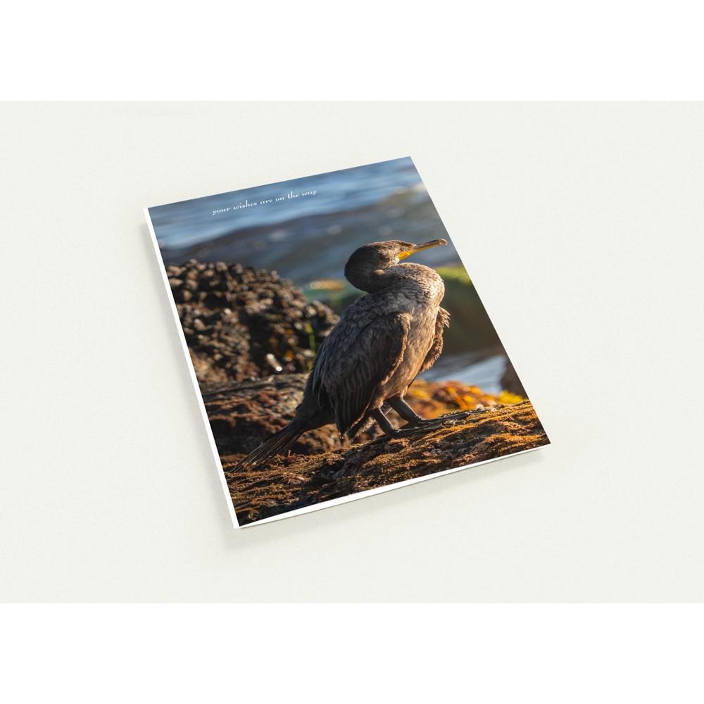 Cormorant Golden Hour Cards, Coastal Bird Photography, Crystal Cove Nature Note Card