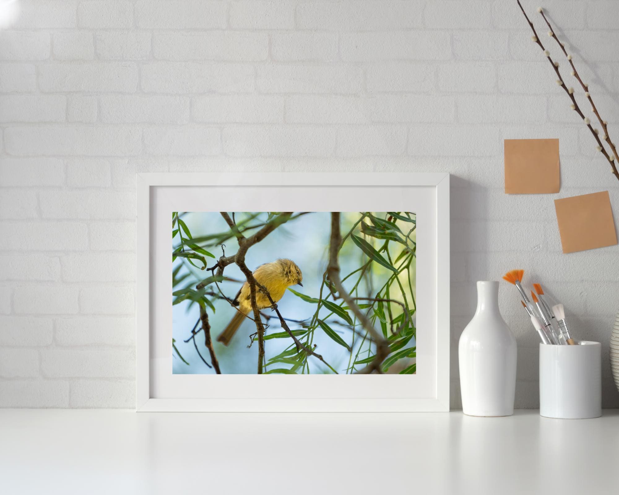 Yellow Faced Honeyeater Print, Songbird Photography Wall Art, Bird Lover Gift