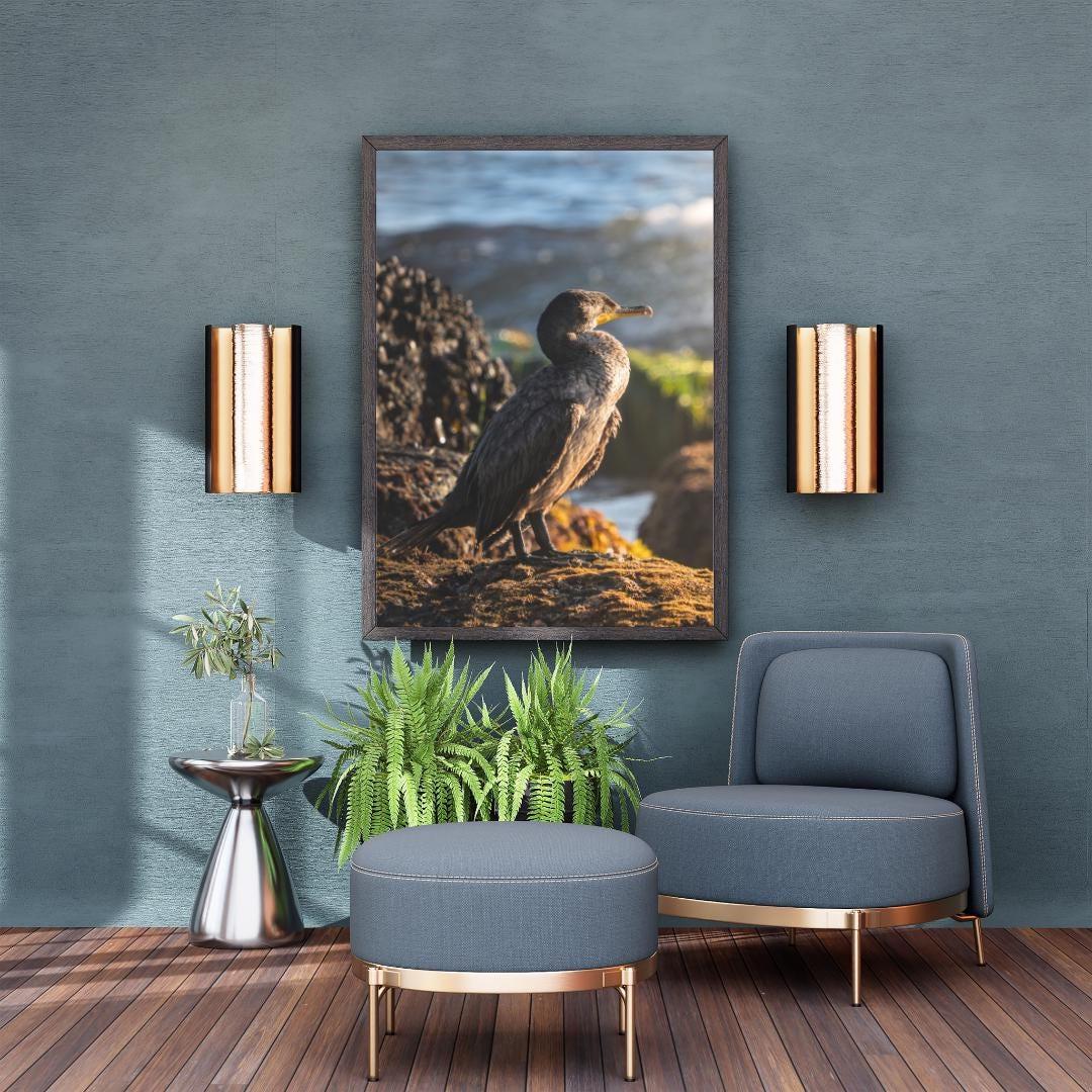 Cormorant Bird Art Print, Coastal Bird Photography Wall Art, Sea Bird Print California